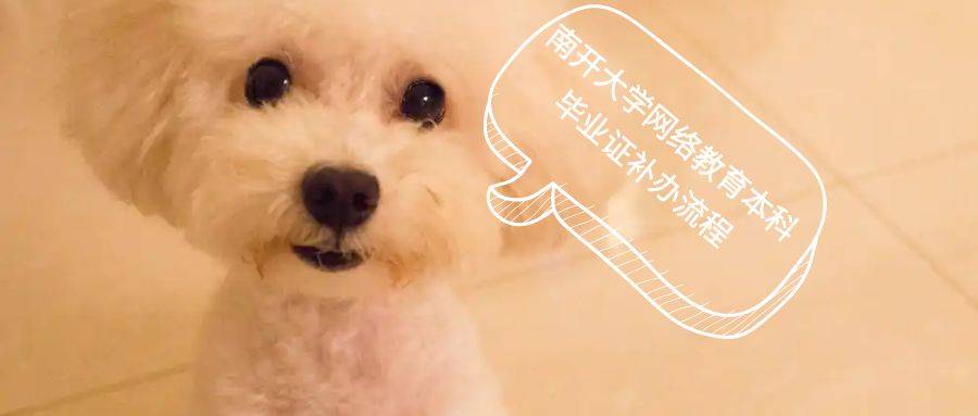南开大学网络教育本科毕业证补办流程