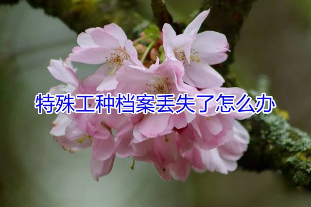 特殊工种档案丢失了怎么办