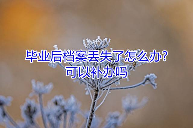 毕业后档案丢失了怎么办?可以补办吗