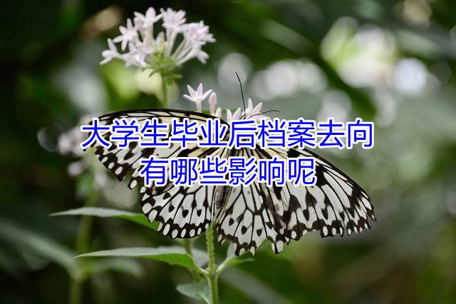 大学生毕业后档案去向有哪些影响呢