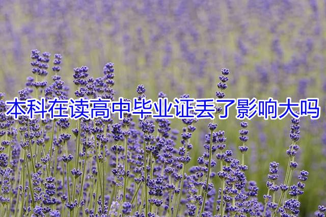 本科在读高中毕业证丢了影响大吗