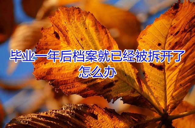 毕业一年后档案就已经被拆开了，怎么办