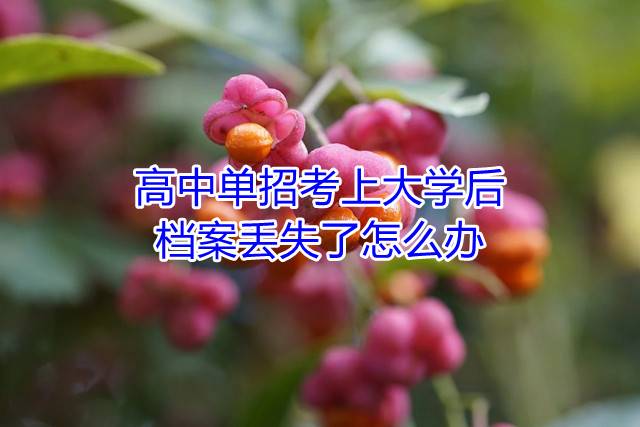 高中单招考上大学后，档案丢失了怎么办