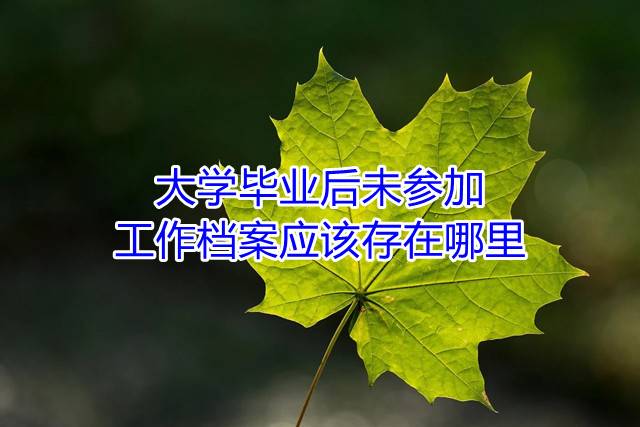 大学毕业后未参加工作档案应该存在哪里